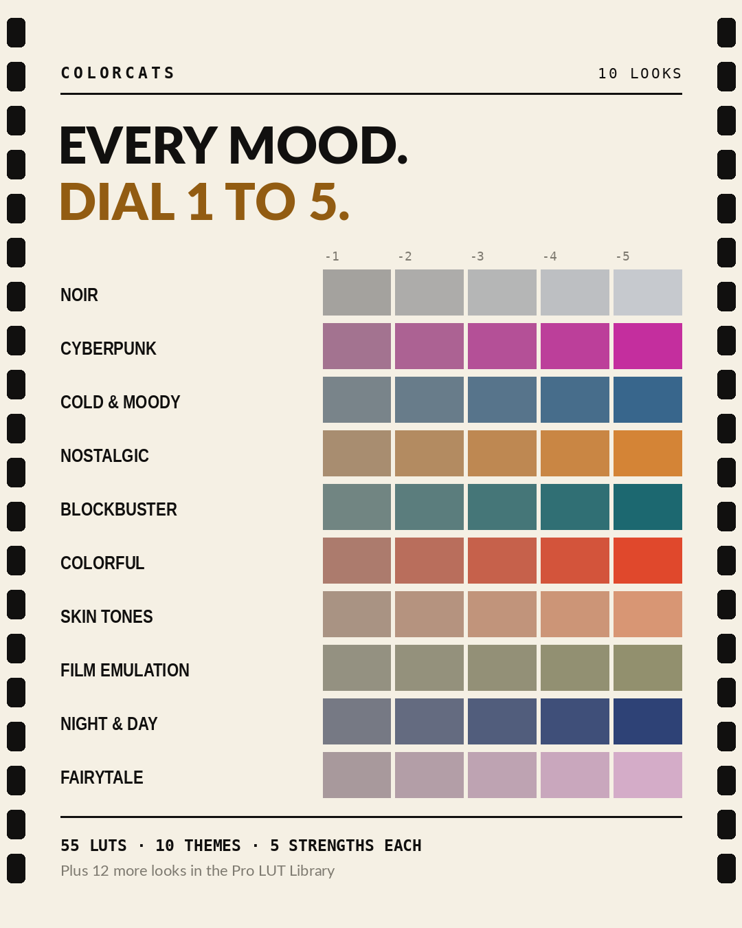 The 10 LUT themes — Noir, Cyberpunk, Cold & Moody, Nostalgic, Blockbuster, Colorful, Skin Tones, Film Emulation, Night & Day and Fairytale — each in 5 strengths